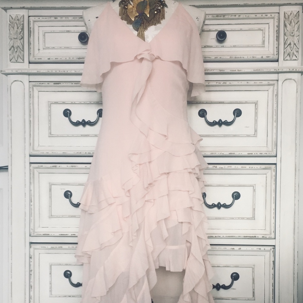 Blushing Belle of the Ball ...